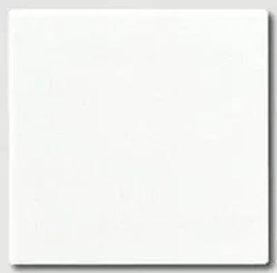 Изображение Заглушка с опорной пластиной A 550 белый глянцевый A594-0WW Jung