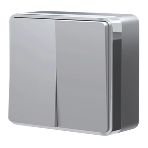 Изображение Выключатель двухклавишный Gallant (серебряный) W5020006